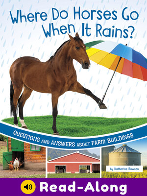cover image of Where Do Horses Go When It Rains?